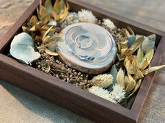 yossŷ@iN[jւ̓eʐ^1