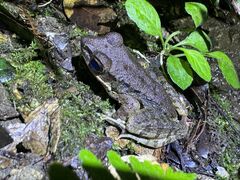 jbN̉iCgcA[T[rXւ̓eʐ^1