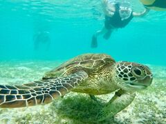 ȂOCEAN LIFEւ̓eʐ^1