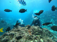 ̃}T[rXނʁ[ւ̓eʐ^1