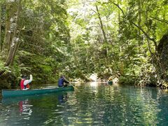 nn̐AEghAZ^[(X)ւ̓eʐ^1