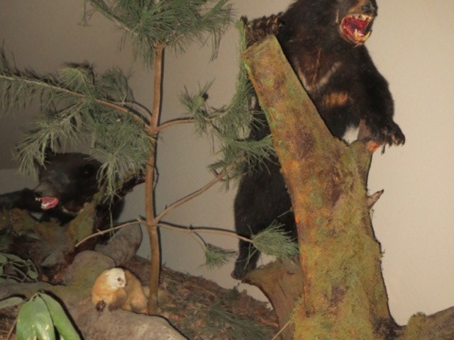 �F�̂͂����W��_�֒�R���΋L�O��