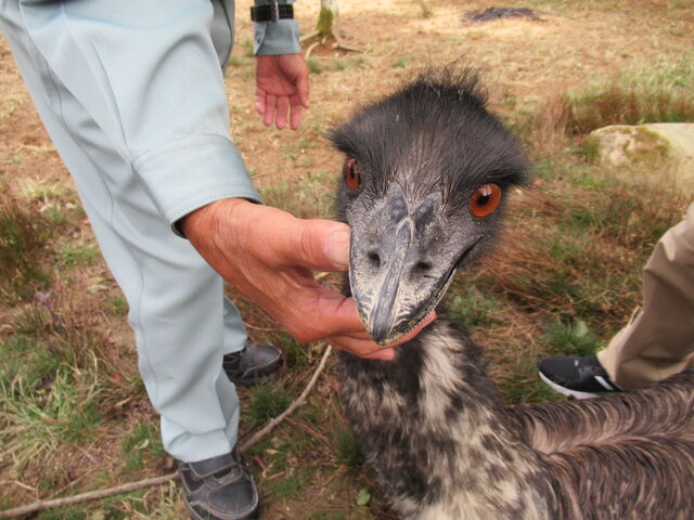 ���ƂȂ����G�~���[�����ł�_��C�����x���[�p�[�N