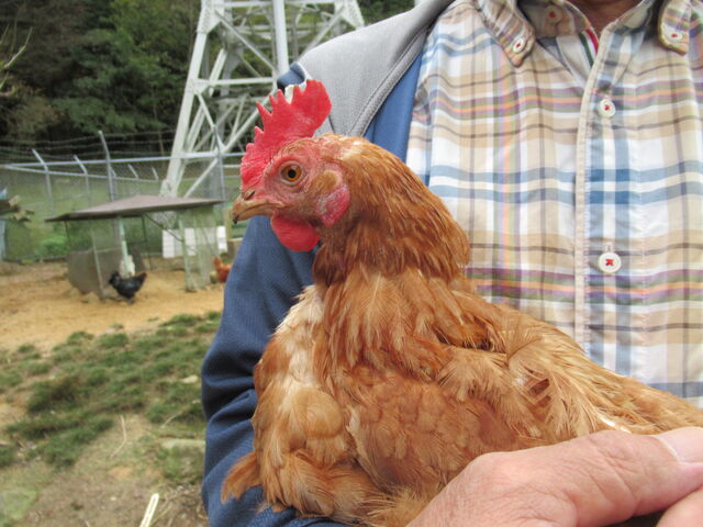 �l���������j���g�������ł�_��C�����x���[�p�[�N