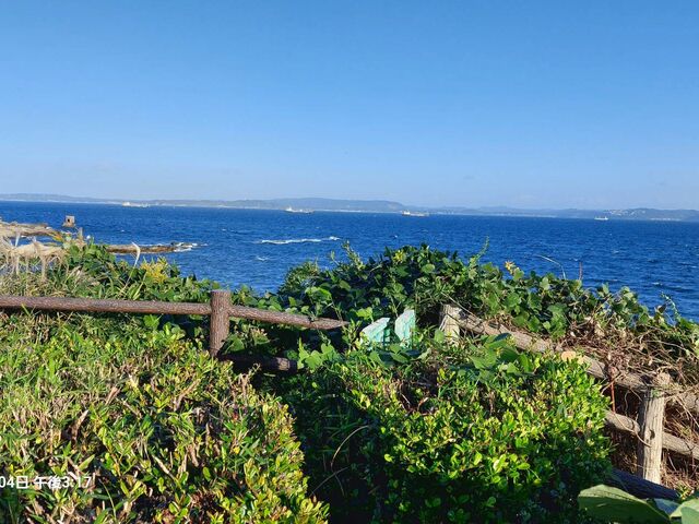 �����p���Y��A�傫�ȉݕ��D���ς�܂��B_�ѓ��݂���