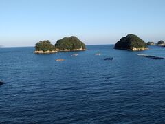 0420����̐����p�ւ̓��e�ʐ^1