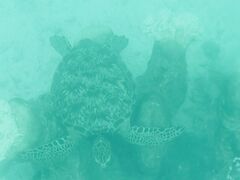 ܁[̐약}T[rXւ̓eʐ^1