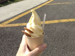 0420̓̉w mւ̓eʐ^1