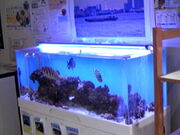 Tv̑䓌旧ӂꂠقЂ܂̓eʐ^3