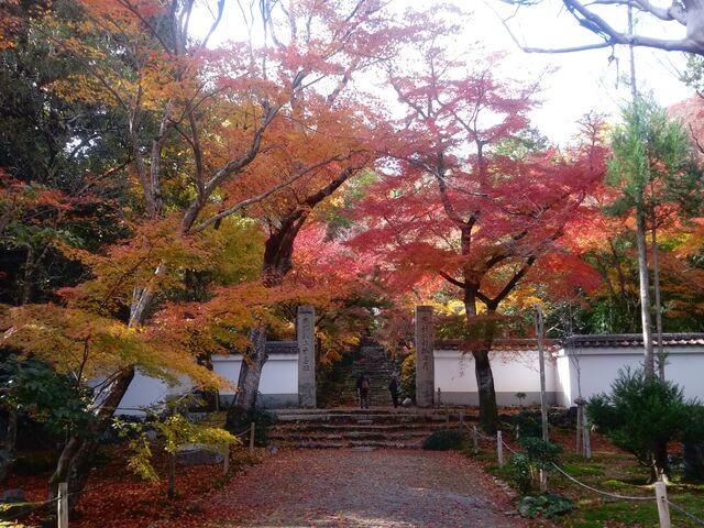 �g�t���ƂĂ����ꂢ�B_��Z���̍g�t