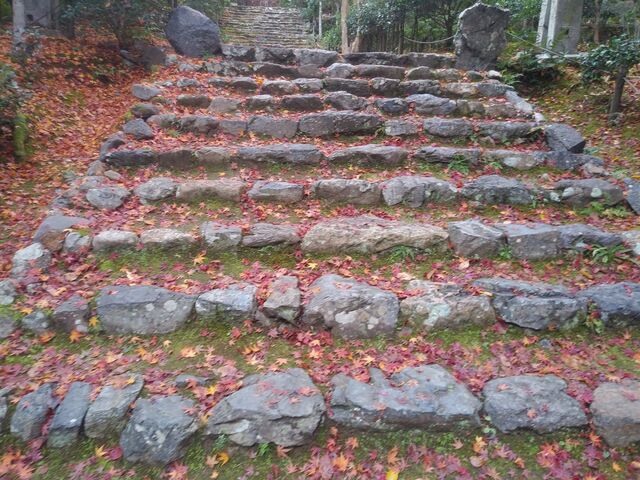 �L���ɂ₩�ȐΒi�_��Z���̍g�t