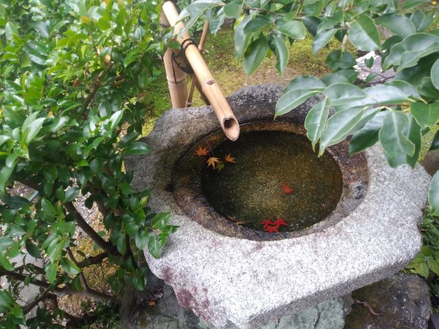 ����􂢂��V�����Ă��ꂢ�ł����B
_��Z���̍g�t