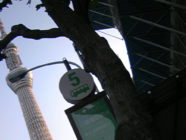 wÕoXƃXJCc[_sc󑐐 {ȋw