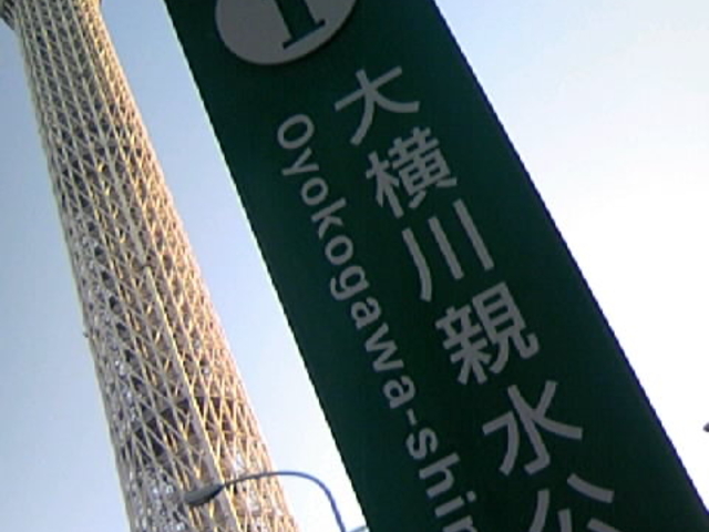 Tv̓sc󑐐 {ȋw̓eʐ^4