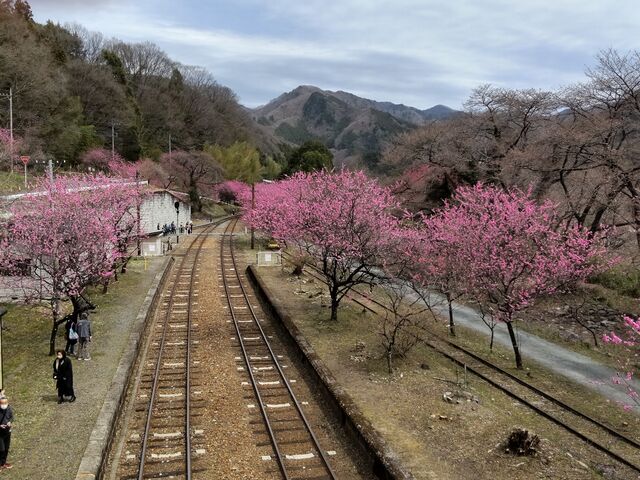 gbRԂɏƐ_ˉwŒԂĂ̂ŁAʐ^Beł܂B__ˉwi킽点kJcj