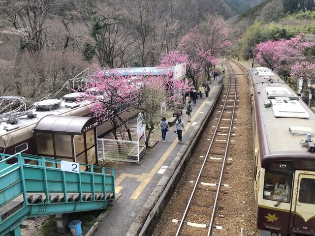 gbRԂƉԓ__ˉwi킽点kJcj