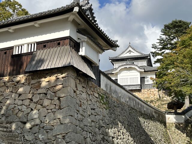 �����Ȋp�x����̓V��_�_�C�ɕ����Ԕ������R��