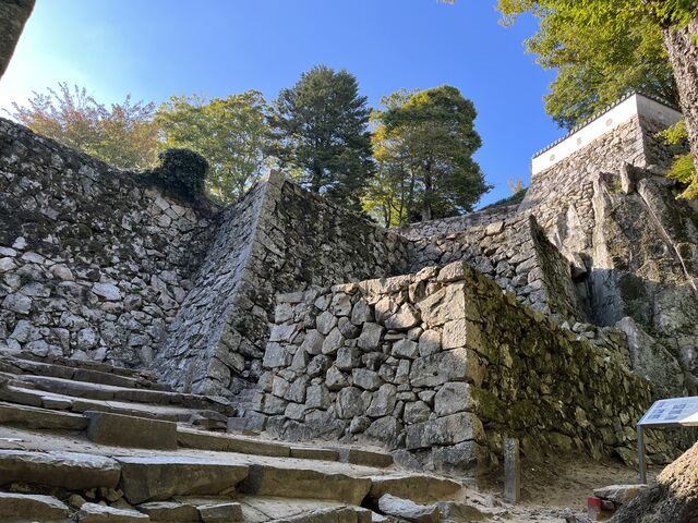 �����I_�_�C�ɕ����Ԕ������R��