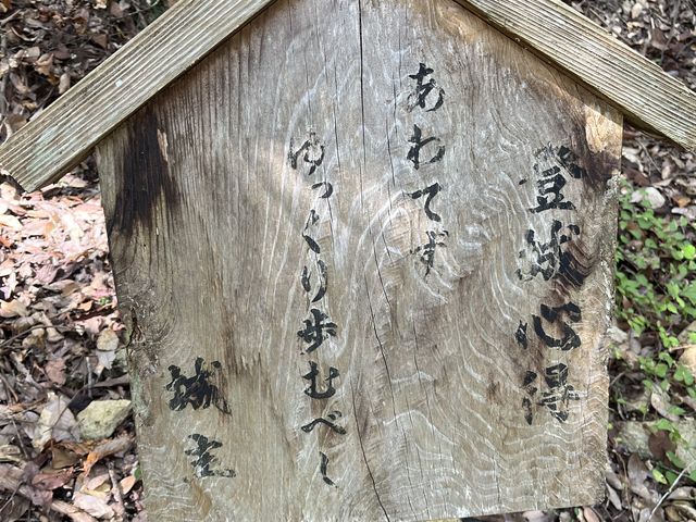 ����Ă����������ނׂ��@���_�_�C�ɕ����Ԕ������R��