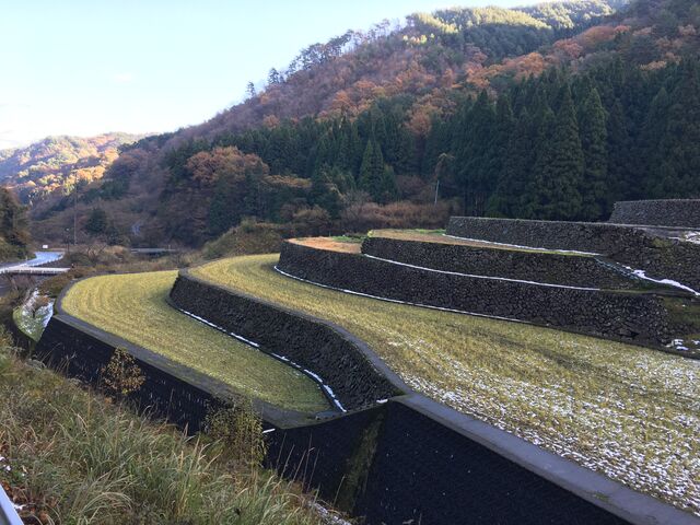 k_bNNo2̓s̒Ic̓eʐ^1