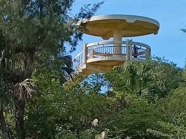 sokudumo̓̊ۓW]̓eʐ^1