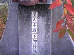 Tv̓sc󑐐 {ȋwւ̓eʐ^1