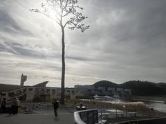 ނpp̊Ղ̈{ւ̓eʐ^1