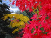 ۂۂ̋TRiTRRLj̓eʐ^3