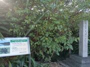 sokudumȏr̃IqMQ̓eʐ^1