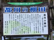 k_bNNo2̓s̒Ic̓eʐ^2