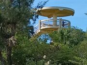 sokudumo����̓��̊ۓW�]��̓��e�ʐ^1