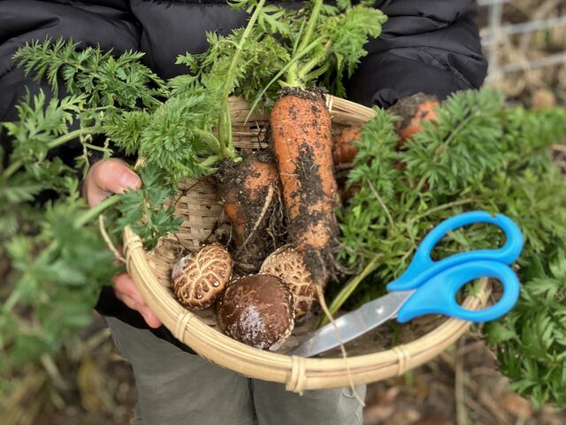 �X�[�p�[�̖�؂Ƃ͑S���Ⴂ�܂���_�����쎩�R�̌��t�@�[��