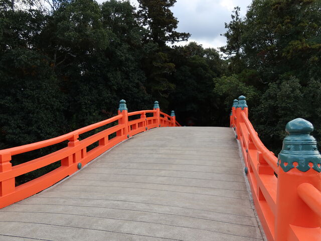 ���̑��ۋ���n��܂�_�F���_�{