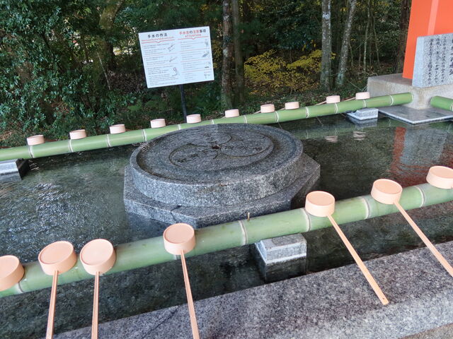 �萅��_�F���_�{