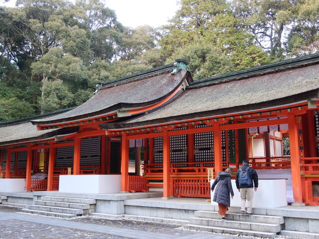 ������͉��{_�F���_�{