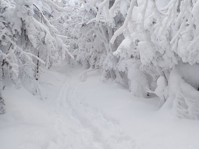 �}�C�a�n�n����̎Ȍ͎R�̗ё��̓��e�ʐ^1