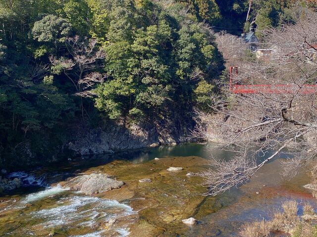 �i�F_���̕�HAZU