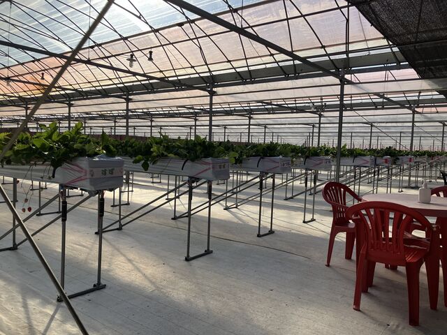 �����́A�������ł������ł���B_�a�����V��