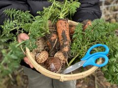 Ȃ̔쎩Řt@[ւ̓eʐ^1