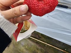 xr[u􂳂̎C`Sւ̓eʐ^1