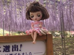 ���������t�����[�p�[�N�̎ʐ^1