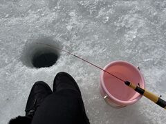 ���͂邳��̑���V�D�ւ̓��e�ʐ^1