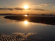 yosshy̐^ʊC݂̗[z̓eʐ^1