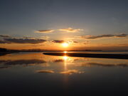 yosshy̐^ʊC݂̗[z̓eʐ^2