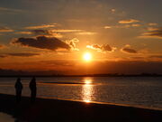 yosshy̐^ʊC݂̗[z̓eʐ^4