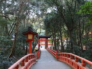 yosshỷF_{뉀̓eʐ^1