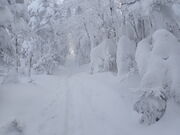 �}�C�a�n�n����̎Ȍ͎R�̗ё��̓��e�ʐ^1