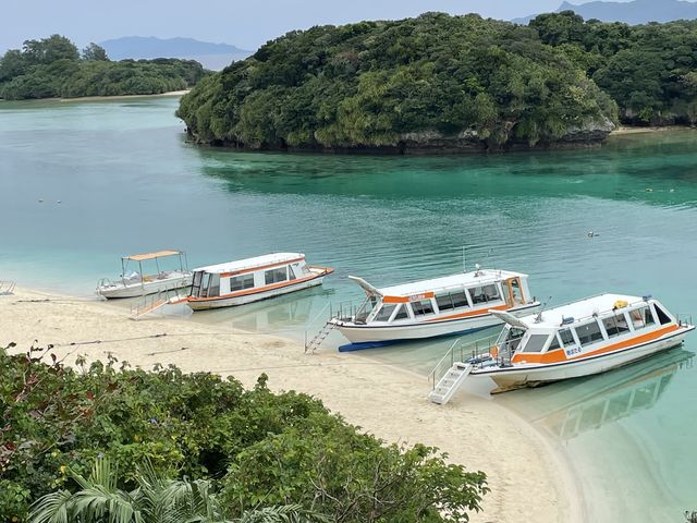 �약�p�̃O���X�{�[�g_�܂��͂������邭��