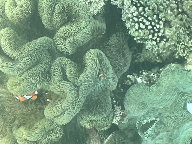 �X���_�܂��͂������邭��