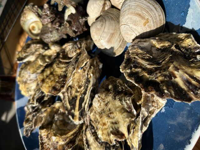 ������̃Z�b�g�B��l�C�X�������ɗ\��ł��܂��B�{�����[�����_�B_���y�Ă� �|��C�Y